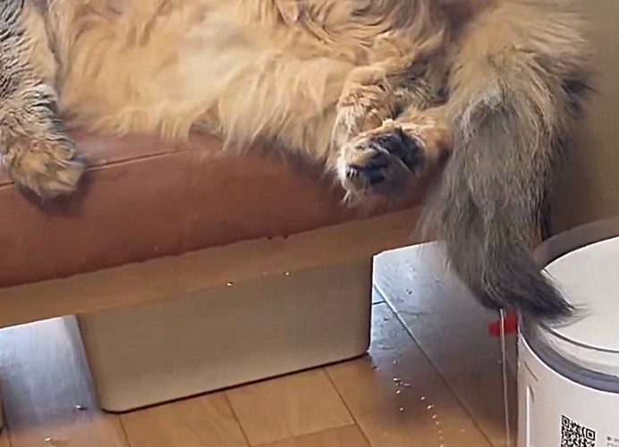 水撒きをするなーさん