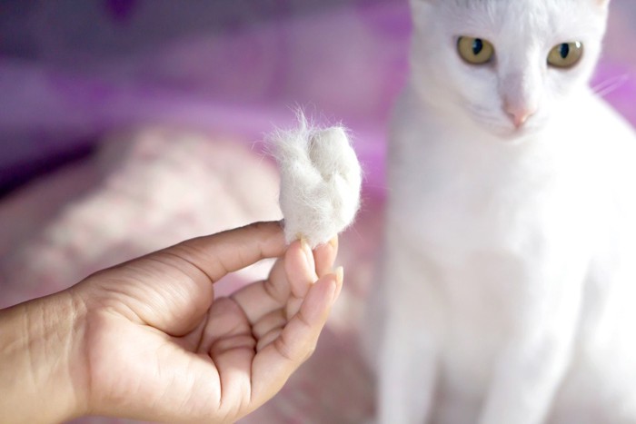 ごっそり抜けた猫の毛