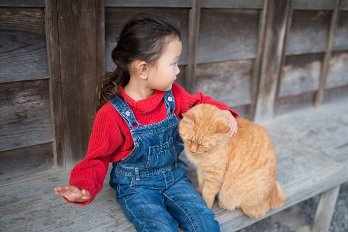 女の子と猫