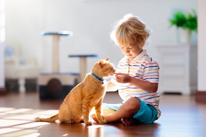 子どもと遊ぶ猫