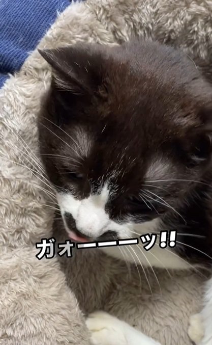落ち着く