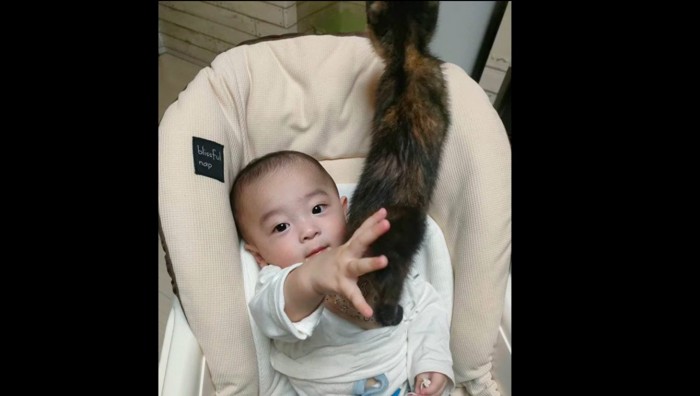 赤ちゃんの肩に乗る子猫