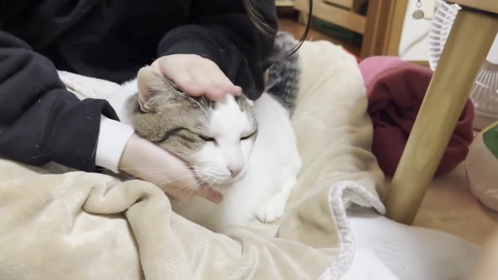 両手で顔を上下から挟まれる豆大福さん