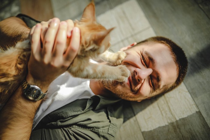 男性の顔に手を伸ばす猫