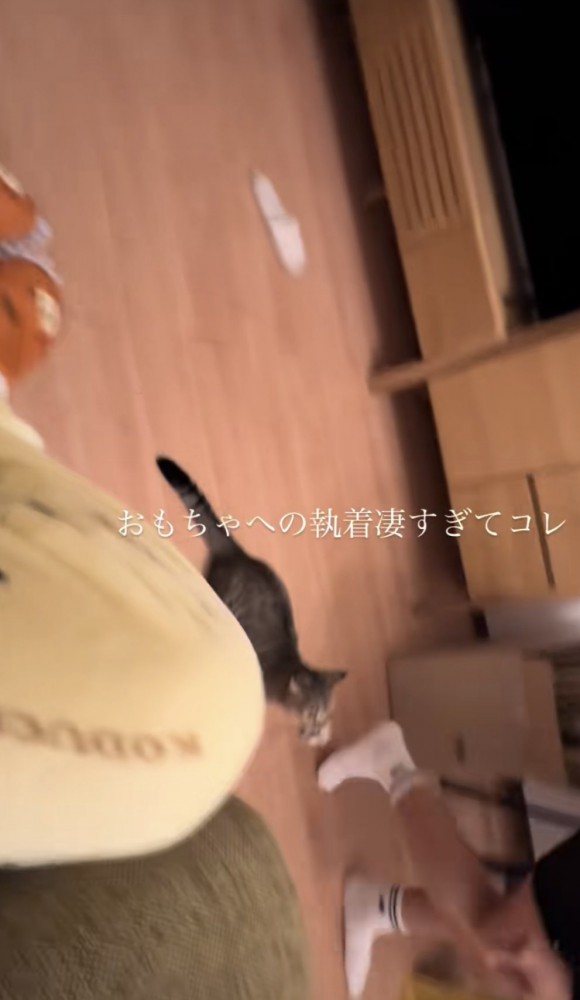 「おもちゃへの執着凄すぎてコレ」のテロップ写真4