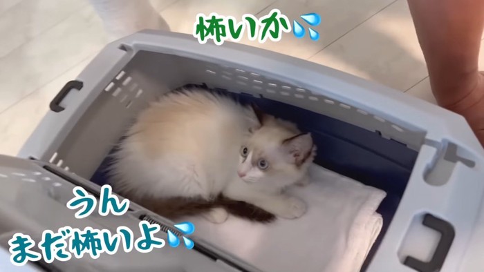 まだ怖いよ