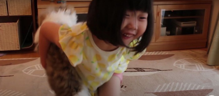 母猫に運ばれる子猫