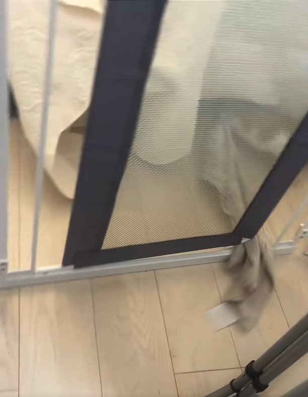フェンスの隙間に挟まれているタオル
