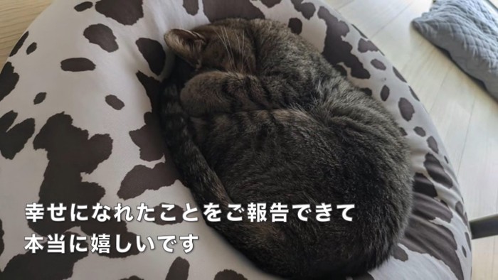 テロップ「幸せになれたことを~」