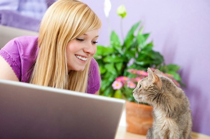 女性と見つめあう猫