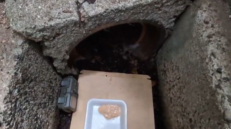 排水管