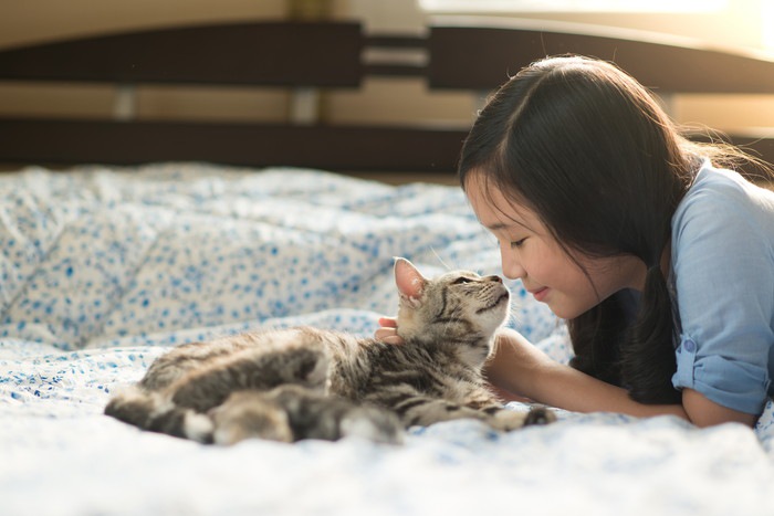 猫と女の子の写真