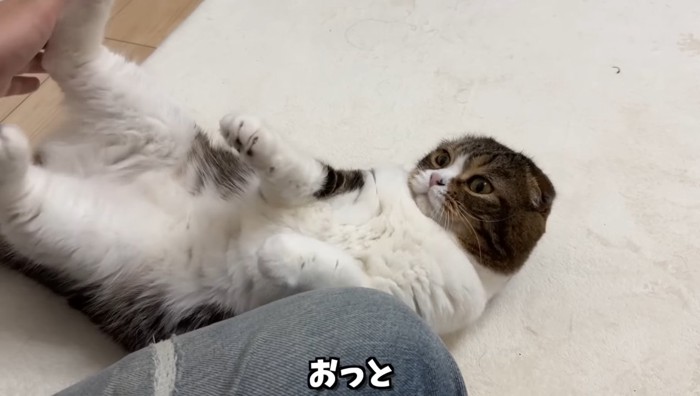 おっと