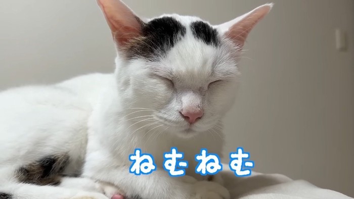 ねむねむ