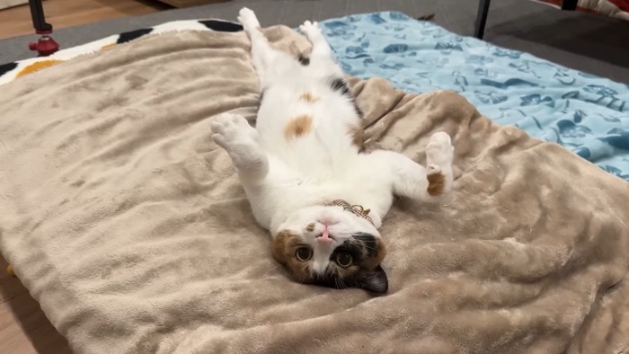 仰向けでお化けの手