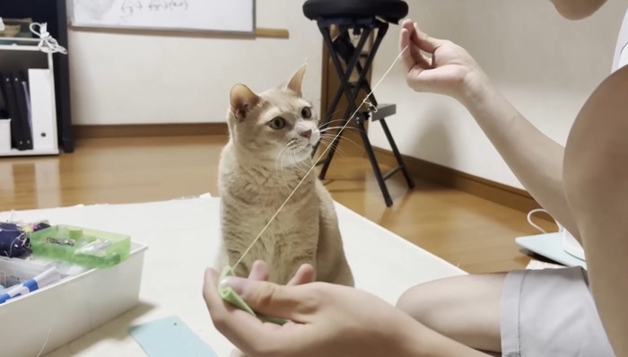 ピンとした糸