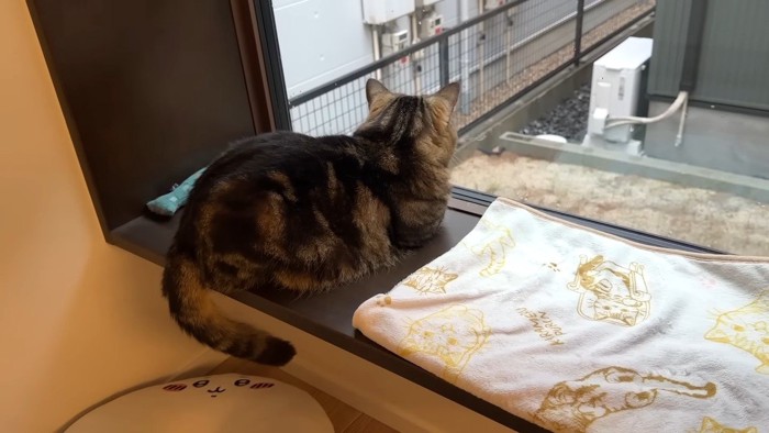 ニャルソック