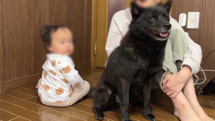 黒い犬と赤ちゃんと大人の人間