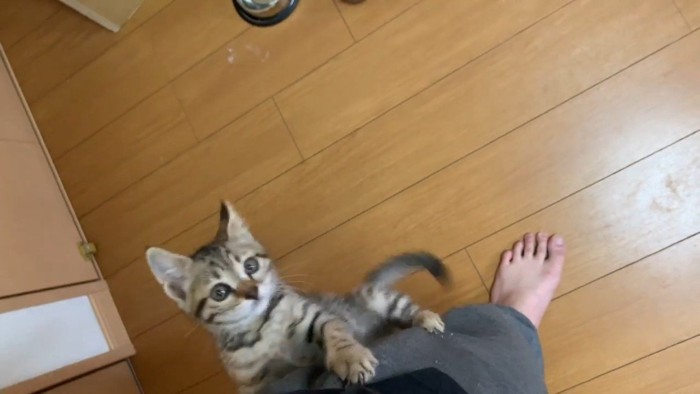 しがみついて