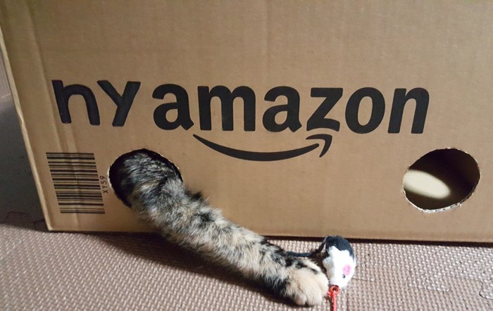 namazon box 