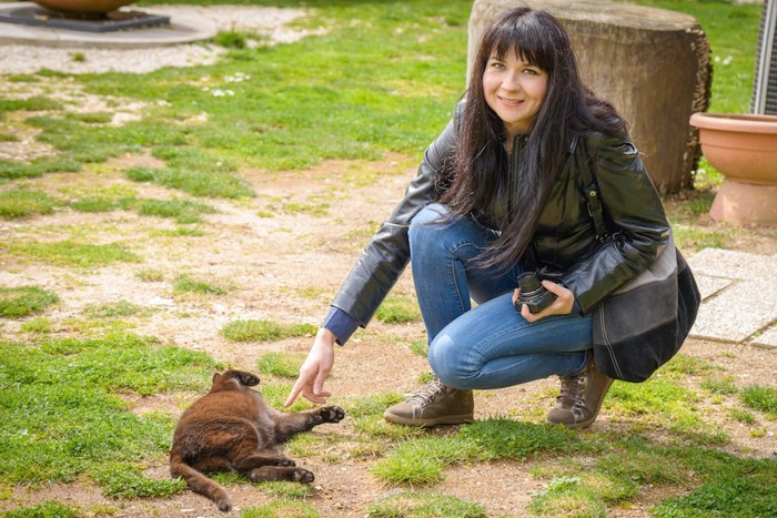 寝転がる猫を触る女性