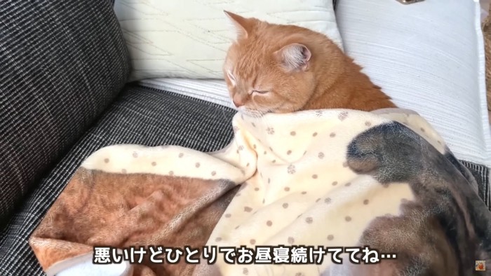 テロップ「悪いけどひとりで~」