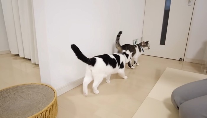 後をついて