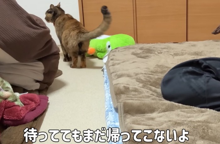 布団の奥で尻尾を上げて横をみる猫「待っててもまだ帰ってこないよ」