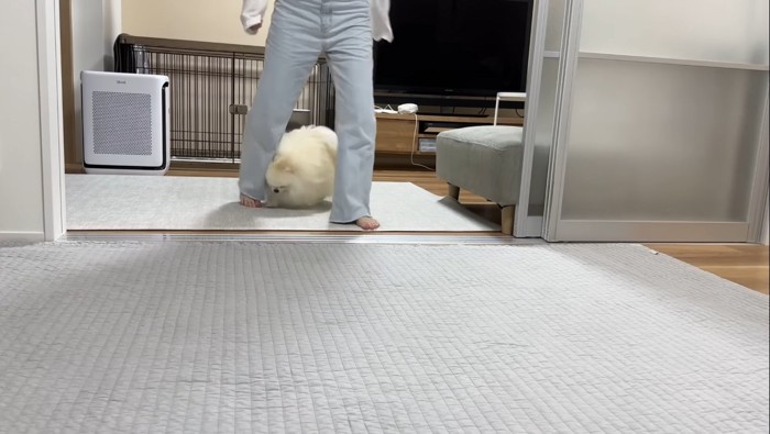 追いかけるポテチくん