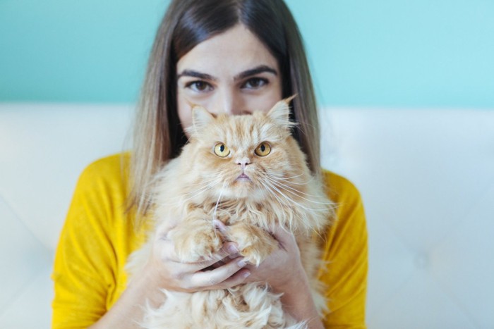 女性に抱っこされる猫