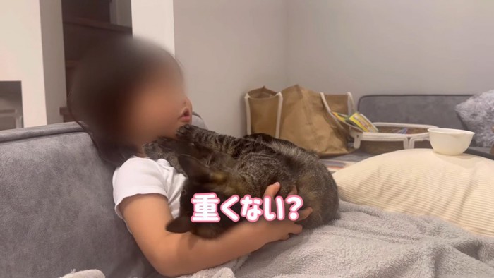 女の子の足の上で甘えるキジトラ猫