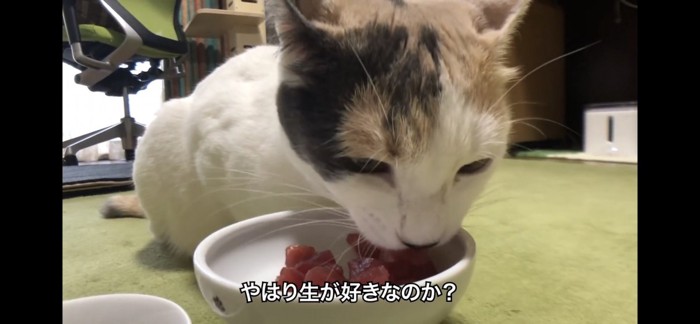 生から食べる