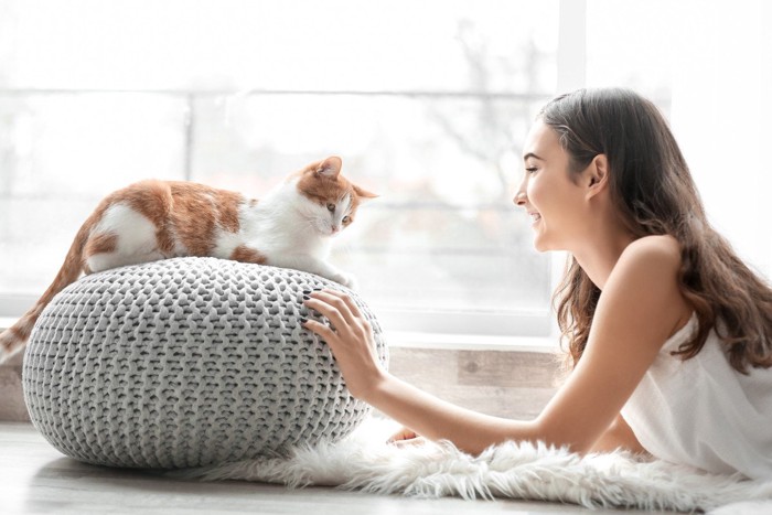 窓際で遊ぶ美女と猫