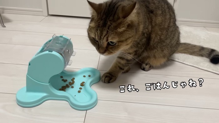 これ、ごはんじゃね？