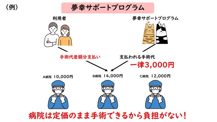 夢幸サポートプログラムの支援