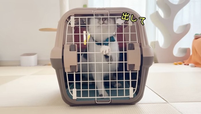 出して