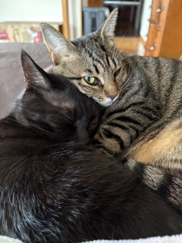 ラムちゃんのウィンク