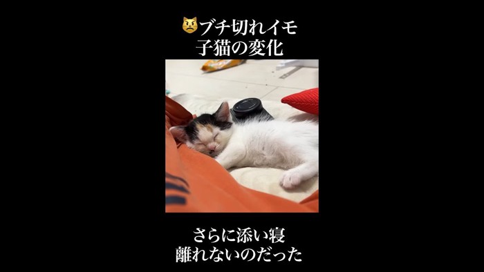 さらに添い寝