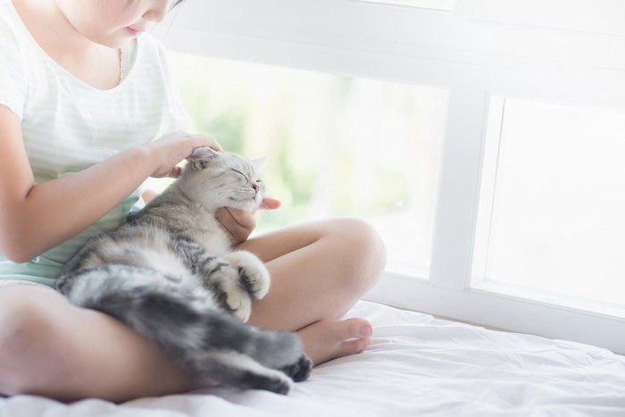 子供の膝の上で気持ちよさそうな猫