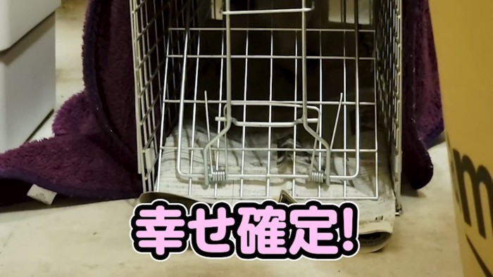 入口が閉まった捕獲器