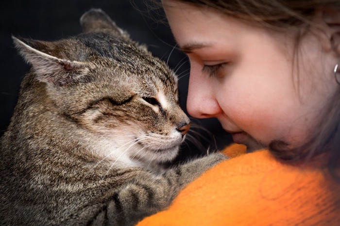 女の子に鼻キスする猫