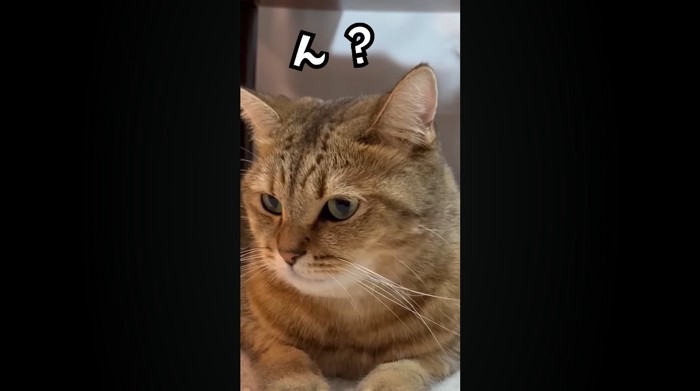 ん?