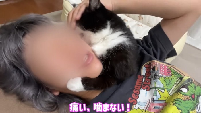 噛まない!