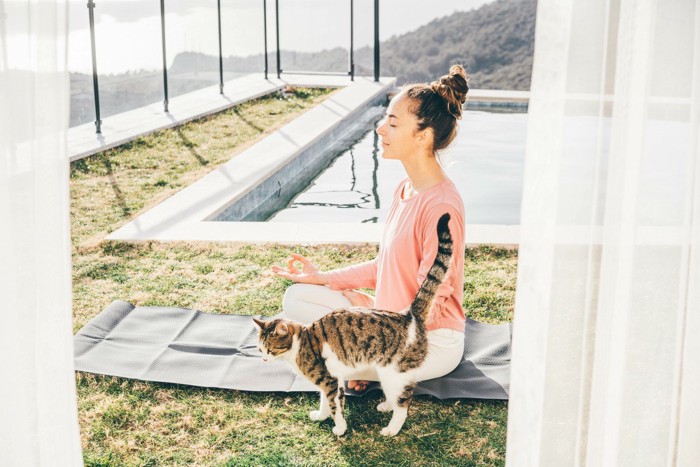 ヨガ女性となで待ち猫