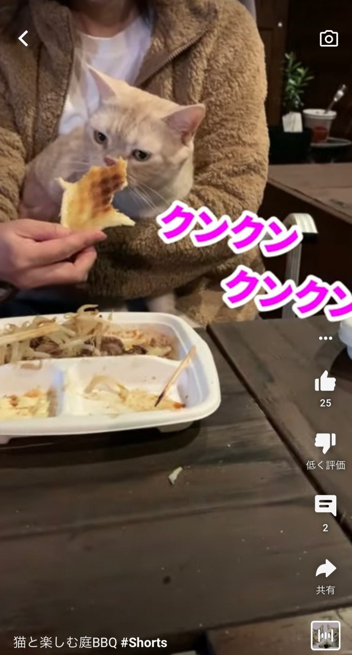 パン食べる？