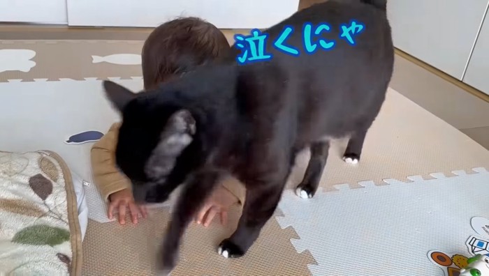 泣くにゃ