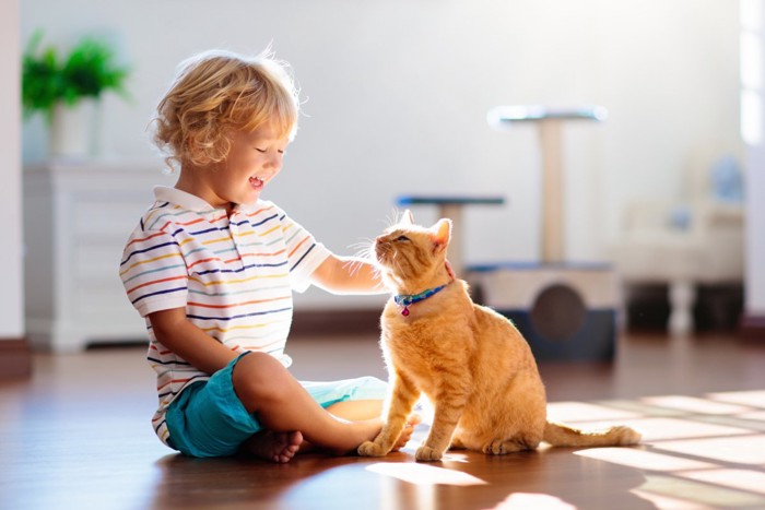 子どもと猫