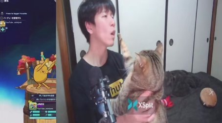 飼い主の開いている口元に向かって真っ直ぐ右前足を伸ばす猫