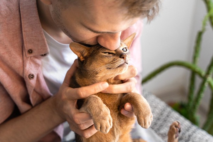 猫にキスする男性