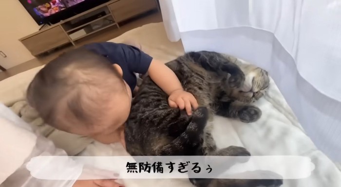 猫をなでている赤ちゃん